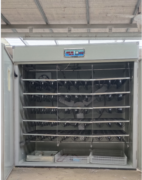 Fully Automatic Egg Incubator  - огляд і ціна Poultry Incubator
