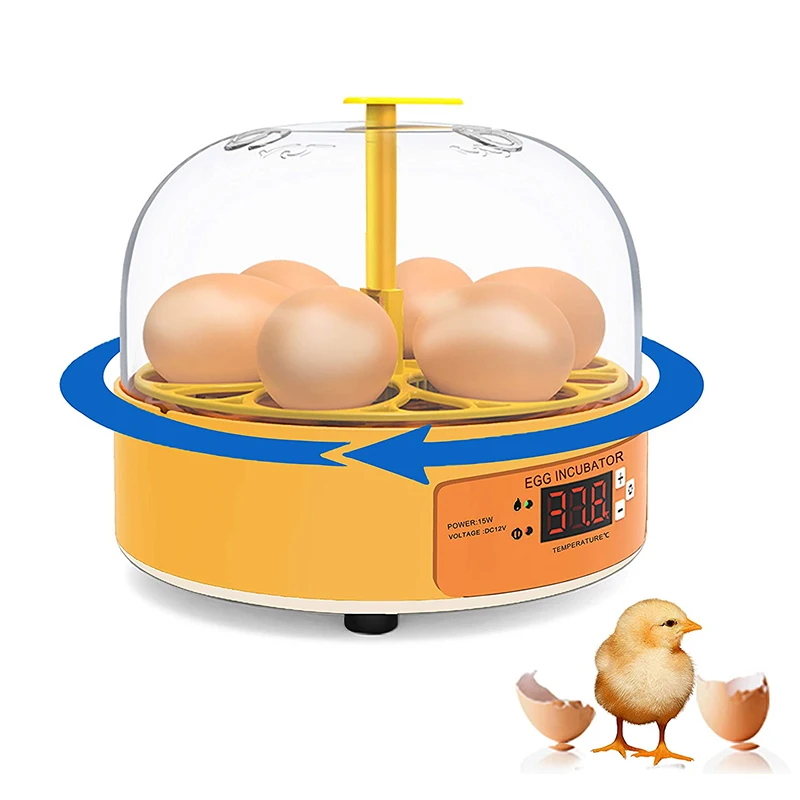 Breeding Incubator Chicken Duc - огляд і ціна Poultry Incubator