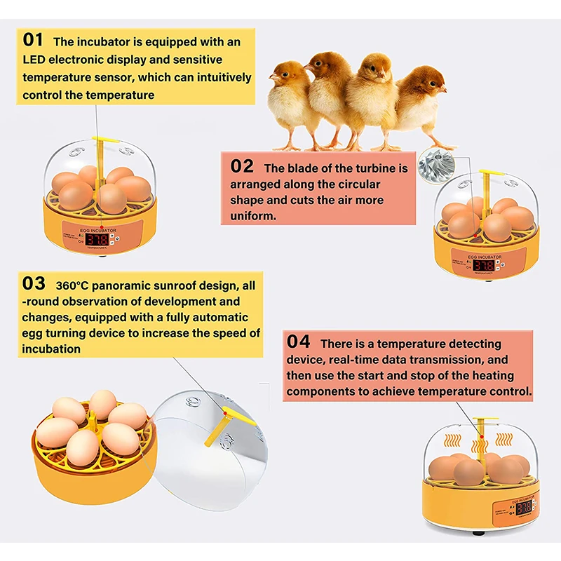 Breeding Incubator Chicken Duc - огляд і ціна Poultry Incubator