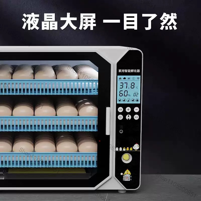 High-end Incubator Small House - огляд і ціна Poultry Incubator