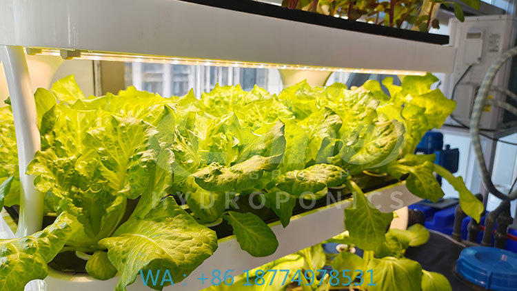 c Agriculture Machine to Growi - огляд і ціна Farming Agriculture Equipment