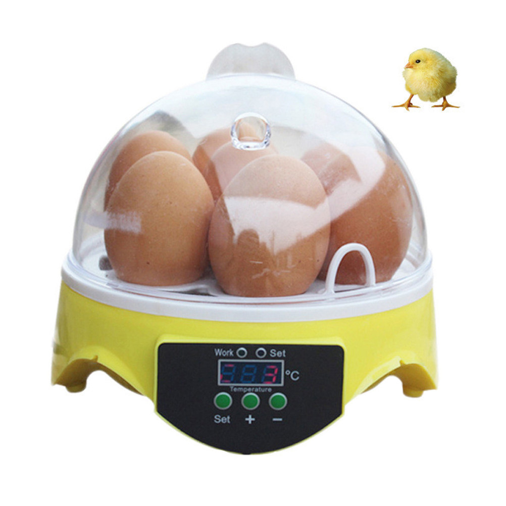 7 Eggs Incubator Poultry Semi- - огляд і ціна Poultry Incubator
