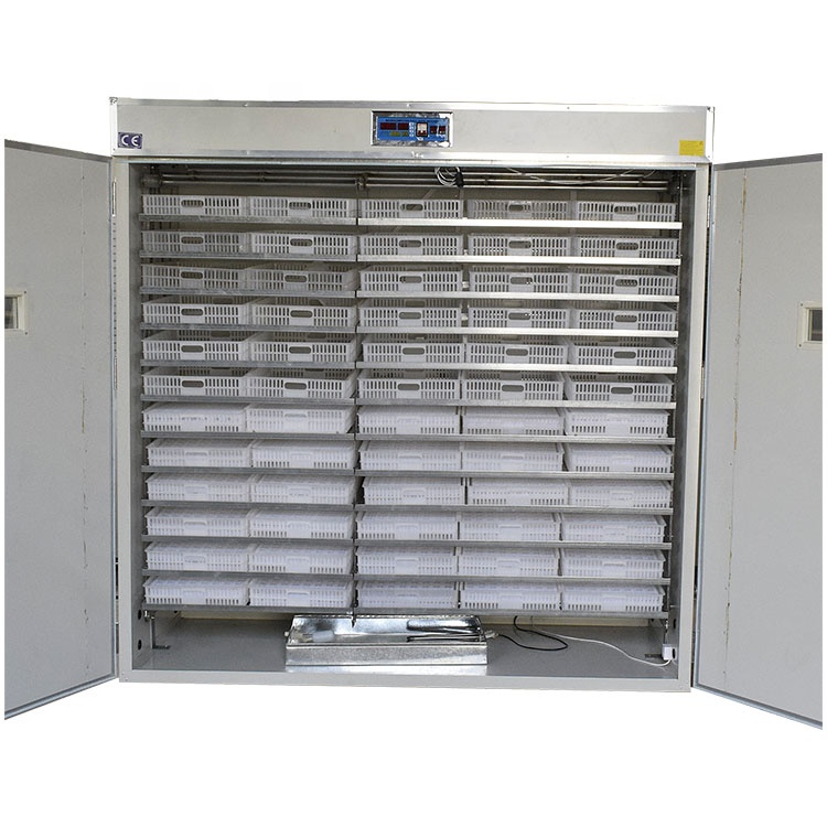 5000 Eggs   Machines for Small - огляд і ціна Poultry Incubator