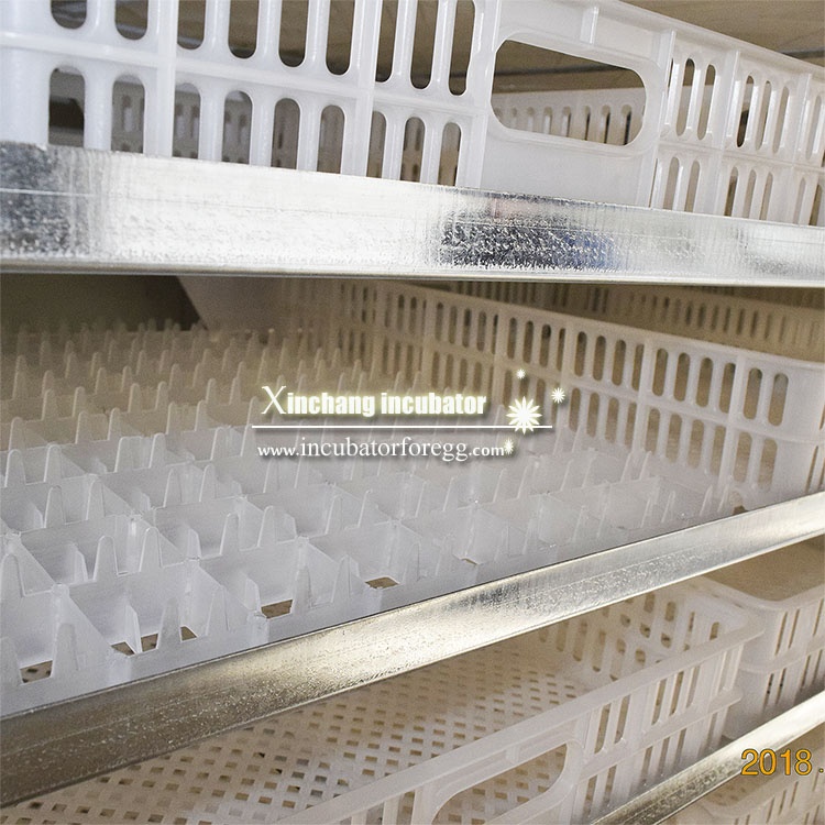 5000 Eggs   Machines for Small - огляд і ціна Poultry Incubator